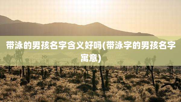 带泳的男孩名字含义好吗(带泳字的男孩名字寓意)