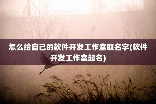怎么给自己的软件开发工作室取名字(软件开发工作室起名)