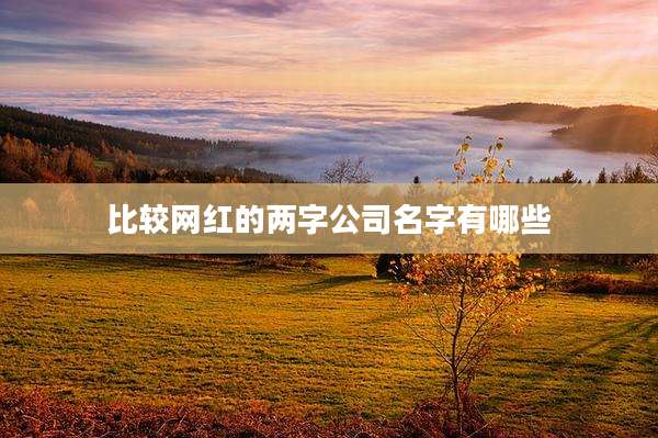 比较网红的两字公司名字有哪些