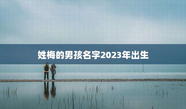 姓梅的男孩名字2023年出生