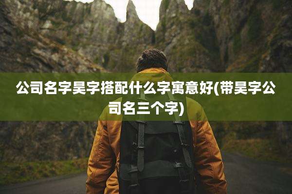 公司名字昊字搭配什么字寓意好(带昊字公司名三个字)