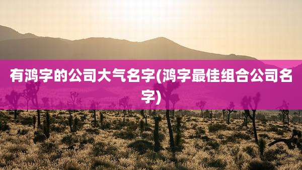 有鸿字的公司大气名字(鸿字最佳组合公司名字)