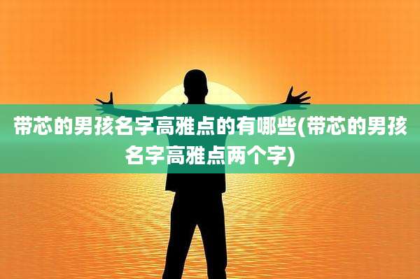 带芯的男孩名字高雅点的有哪些(带芯的男孩名字高雅点两个字)