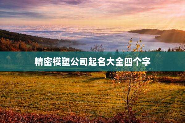 精密模塑公司起名大全四个字