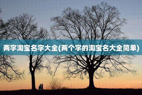两字淘宝名字大全(两个字的淘宝名大全简单)