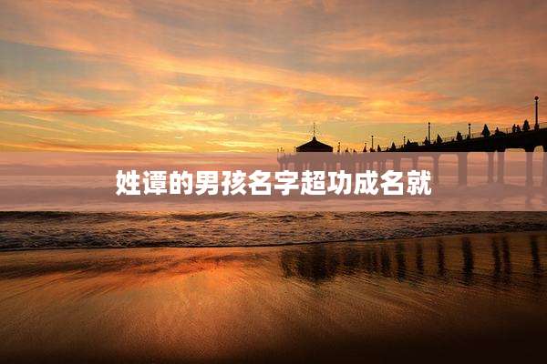 姓谭的男孩名字超功成名就