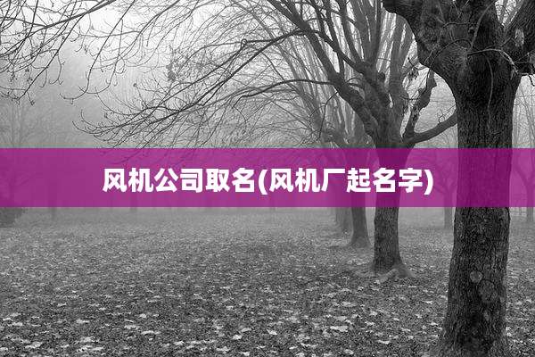 风机公司取名(风机厂起名字)