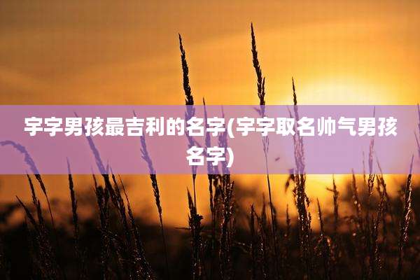 宇字男孩最吉利的名字(宇字取名帅气男孩名字)