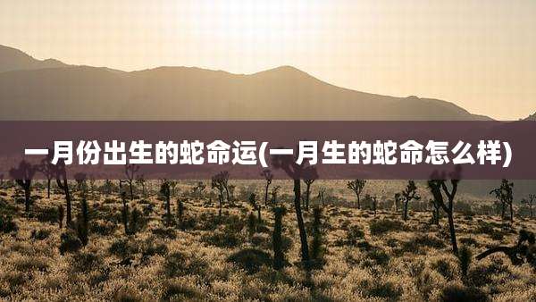 一月份出生的蛇命运(一月生的蛇命怎么样)