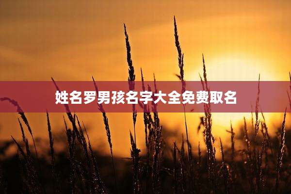 姓名罗男孩名字大全免费取名