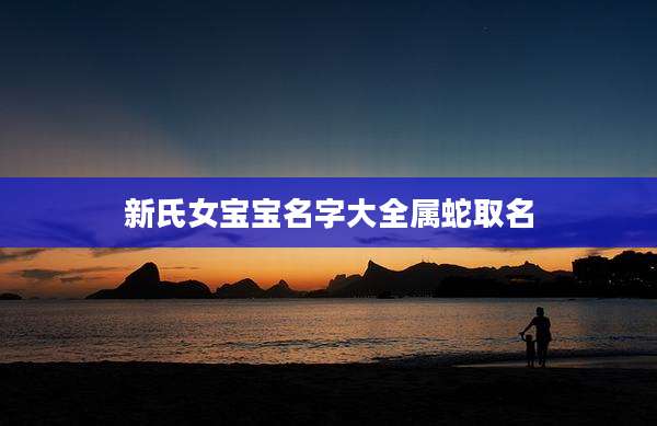 新氏女宝宝名字大全属蛇取名