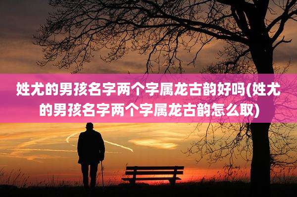姓尤的男孩名字两个字属龙古韵好吗(姓尤的男孩名字两个字属龙古韵怎么取)