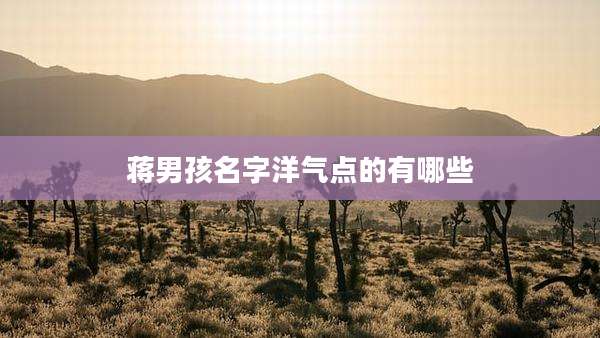 蒋男孩名字洋气点的有哪些