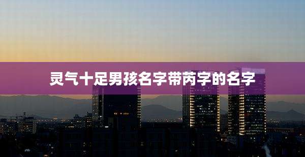 灵气十足男孩名字带芮字的名字