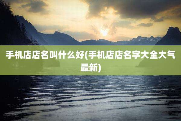 手机店店名叫什么好(手机店店名字大全大气最新)