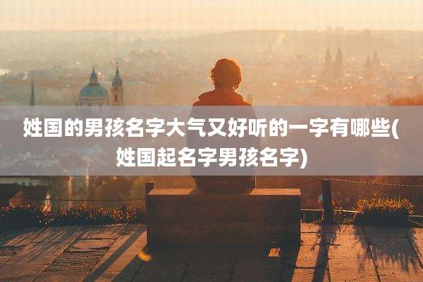 姓国的男孩名字大气又好听的一字有哪些(姓国起名字男孩名字)