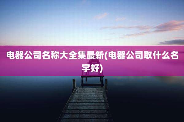 电器公司名称大全集最新(电器公司取什么名字好)