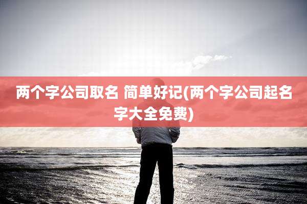 两个字公司取名 简单好记(两个字公司起名字大全免费)