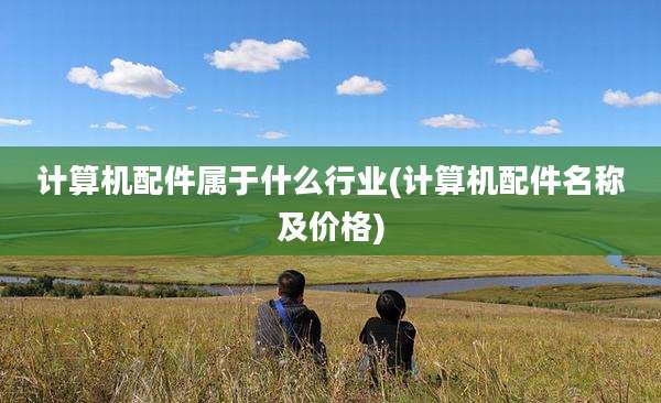计算机配件属于什么行业(计算机配件名称及价格)