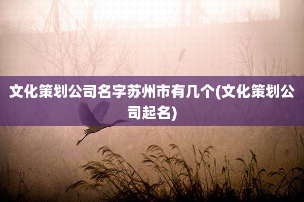 文化策划公司名字苏州市有几个(文化策划公司起名)