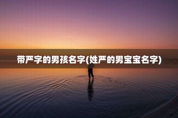带严字的男孩名字(姓严的男宝宝名字)