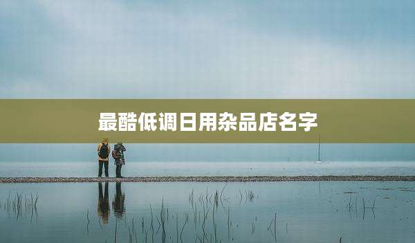 最酷低调日用杂品店名字