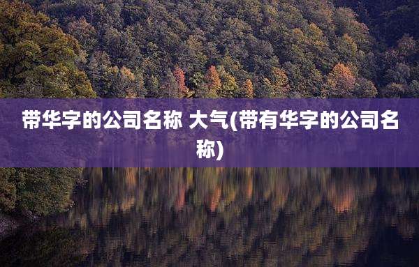 带华字的公司名称 大气(带有华字的公司名称)