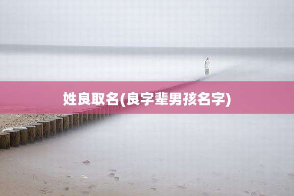 姓良取名(良字辈男孩名字)