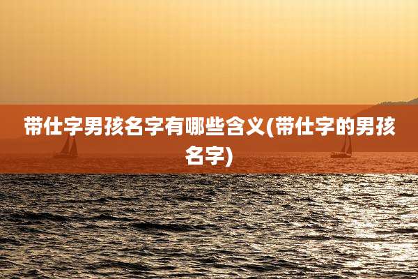 带仕字男孩名字有哪些含义(带仕字的男孩名字)