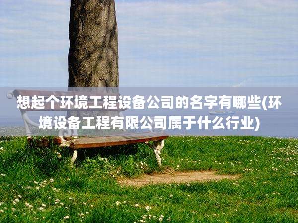 想起个环境工程设备公司的名字有哪些(环境设备工程有限公司属于什么行业)