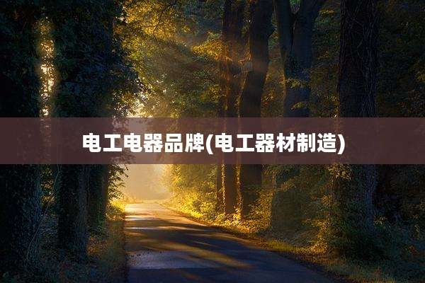 电工电器品牌(电工器材制造)