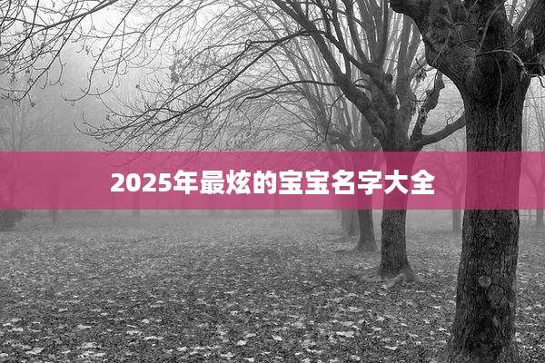 2025年最炫的宝宝名字大全