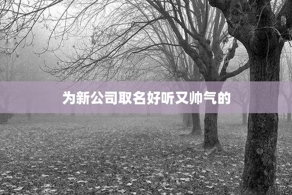 为新公司取名好听又帅气的