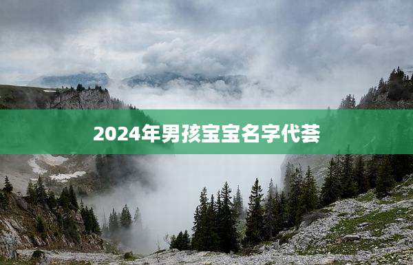 2024年男孩宝宝名字代荟