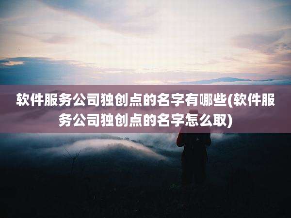 软件服务公司独创点的名字有哪些(软件服务公司独创点的名字怎么取)
