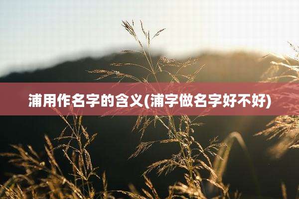 浦用作名字的含义(浦字做名字好不好)