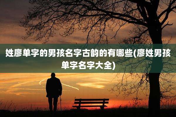 姓廖单字的男孩名字古韵的有哪些(廖姓男孩单字名字大全)