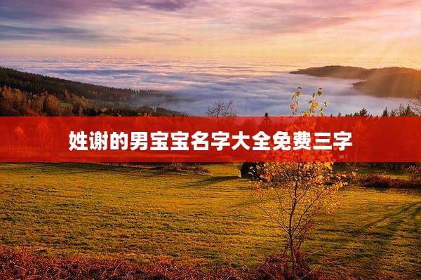 姓谢的男宝宝名字大全免费三字