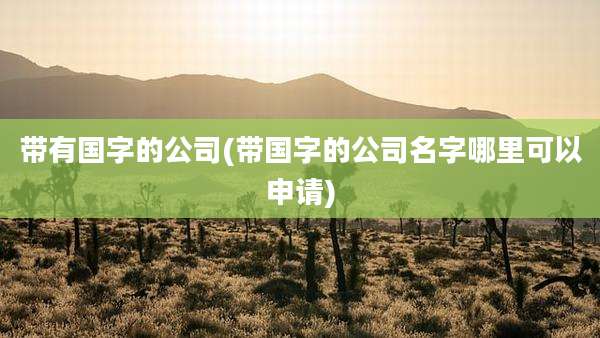 带有国字的公司(带国字的公司名字哪里可以申请)