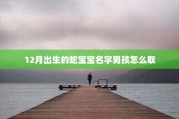 12月出生的蛇宝宝名字男孩怎么取
