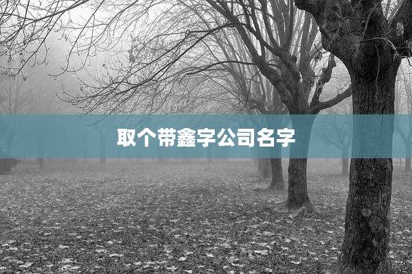取个带鑫字公司名字