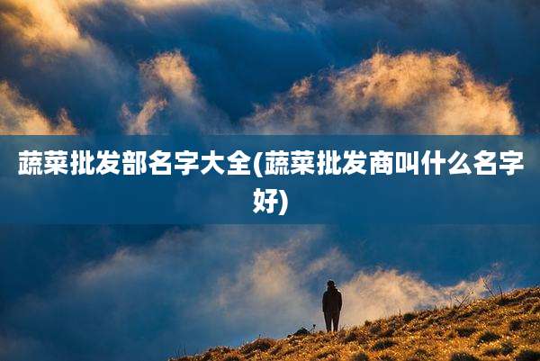蔬菜批发部名字大全(蔬菜批发商叫什么名字好)