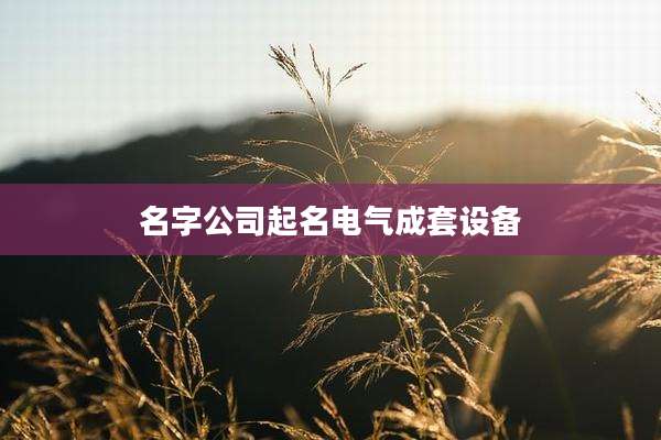 名字公司起名电气成套设备