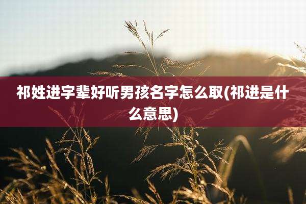祁姓进字辈好听男孩名字怎么取(祁进是什么意思)
