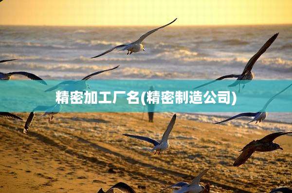 精密加工厂名(精密制造公司)