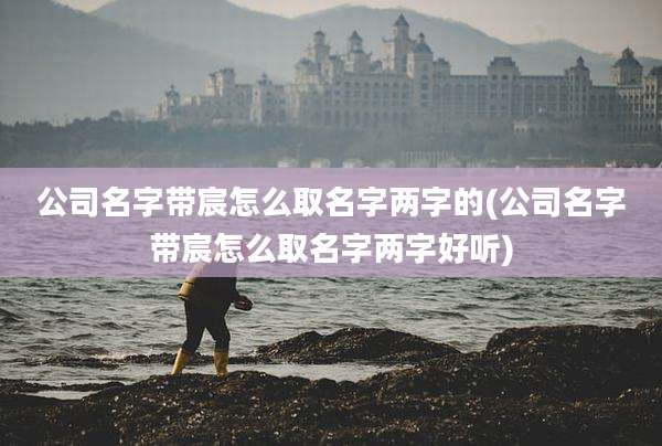 公司名字带宸怎么取名字两字的(公司名字带宸怎么取名字两字好听)
