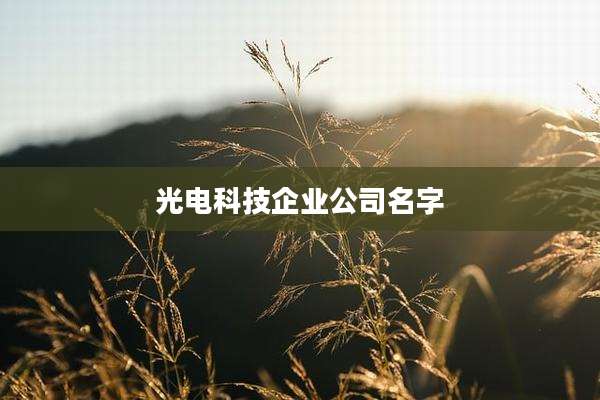 光电科技企业公司名字