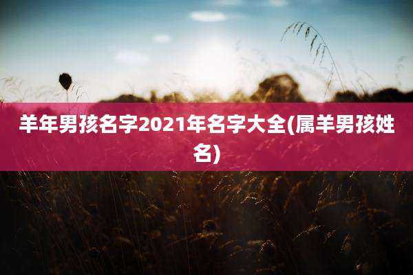 羊年男孩名字2021年名字大全(属羊男孩姓名)