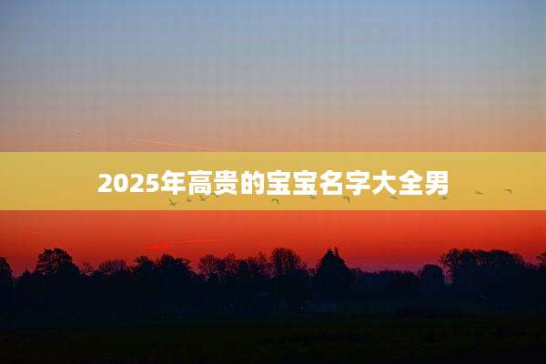 2025年高贵的宝宝名字大全男