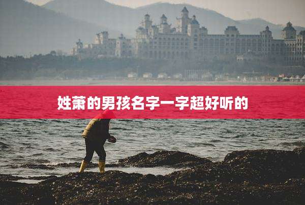 姓萧的男孩名字一字超好听的